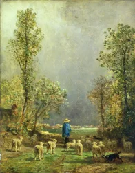 Schafe beobachten einen Sturm